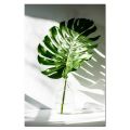 Plant Leaf English Letter Art Posters Prints Art Wall Pictures without Frame, Size:15×20cm(A Leaf ). 