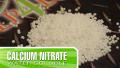Calcium Nitrate Imported, Water soluble fertilizer, 1KG. 