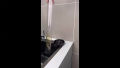 Automatic Cup Washer Rinser , Cup bottle washer with High pressure , Instant high speed washing , Automatic Faucet Glass Cup washer Tool Kitchen Sink Accessories , auto Tap Glass Rinser for Kitchen Sinks. 