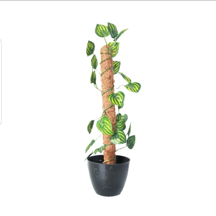 Green%20Artificial%20Money%20Plant%20leave%20with%20Coconut%20stick%20%20Decorative%20Flowers%20Plants%20best%20for%20Home%20and%20office%20D%C3%A9cor%20-%20Image%204