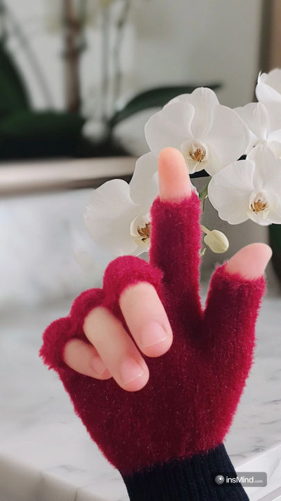 Half%20Finger%20Gloves%20for%20Girls,%20Plush%20Fingerless%20Gloves%20in%20Multicolor%20%7C%20Good%20Quality%20&%20Warm%20Material%20%7C%20Pardhan%20Collections%20-%20Image%206