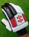 Batting Pads & Gloves - Combo set for Kids & Youngsters (up to 16 Years Old). 