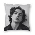 Timothee Chalamet Square Pillow Case Home Decor 90s TV Actor Cushions Throw Pillow for Living Room Double-sided Printing. 