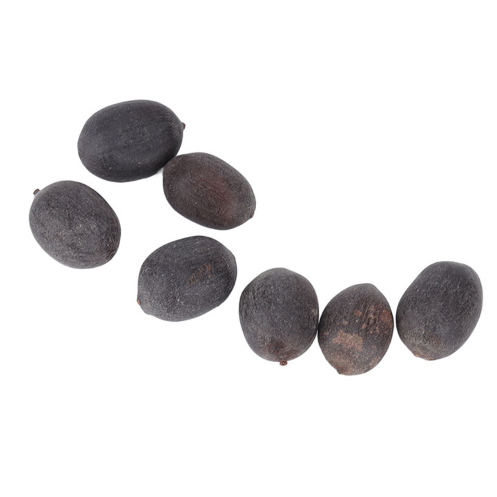 Lotus%C2%A0Plant%20Seeds,%20Lotus%C2%A0Seeds%20Full%C2%A0Sun%20for%20Balcony%20Vegetable%20Gardens%20-%20Image%205