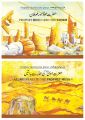 Prophets Stories From Quran (12 Books Box Set) (Story Books). 