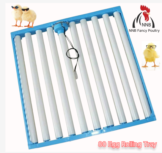 Imported Automatic 80 Egg Turner Rolling Tray Quail Chicken To Duck ...