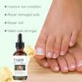 7 Days Ginger Nail Growth Serum – Nail Strengthening and Nourishing Serum for Healthy, Shiny and Strong Nails. 