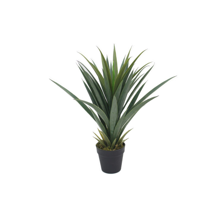 Imported%20artificial%20Yucca%20Plant%20with%20black%20Planter%20-%20Image%202