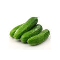 Daraz Fresh Cucumber (Kheera) 1 Kg. 