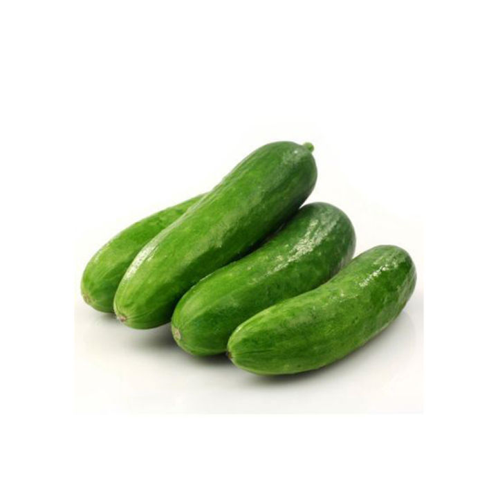 Daraz Fresh Cucumber (Kheera) 1 Kg