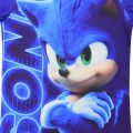 Cartoon Sonic The Hedgehog Costume for Kids Sonic T Shirt Shorts Suit Terno Boy Cap Hedgehog Birthday Halloween Party Cosplay. 