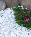 White Beautiful Medium Size POLAR  Marble Stones For Garden &  Plants Decoration. 