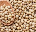 SOYA BEAN 1 KILO GRAM. 
