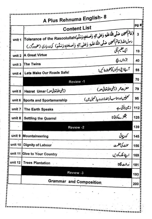 A%20Plus%20English%20for%20Grade%208%20Solved%20Textbook,%20English%20Grammar%20and%20Composition%20(Rehnuma%20Series)%20-%20Image%203