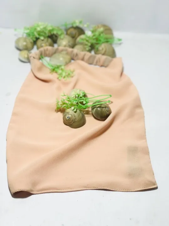 Half%20Niqab%20for%20Women%20%E2%80%93%20Premium%20Chiffon%20&%20Georgette%20Face%20Veil%20%7C%20Elastic%20Band%20for%20Comfortable%20Fit%20%7C%20Stylish%20Islamic%20Veil%20%7C%20Hijab%20Accessory%20%7C%20Daily%20Wear%20&%20Special%20Occasions%20%7C%20Soft%20&%20Lightweight%20-%20Image%204