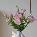 Real Touch Artificial Lisianthus Flowers Lifelike Bridal Bouquet Eustoma Flower Party Supplies Elegant Artificial Bouquet. 