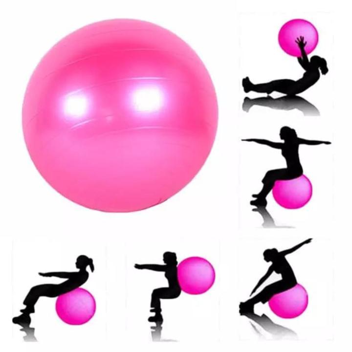 Anti-Burst Gym Ball 65cm
