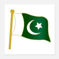 Patriotic Symbol: Each badge features the iconic design of the Pakistan flag, symbolizing national pride and unity.  High-Quality Construction: Made from durable materials such as metal or plastic, ensuring longevity and resistance to wear.  Pack of 10: I. 