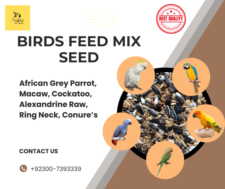 "Premium%20Avian%20Delight:%20Nutrient-Rich%20Mix%20Feed%20for%20Parrots%20-%20Ideal%20for%20African%20Grey,%20Macaw,%20Cockatoo,%20Alexandrine%20Parakeet,%20Ring%20Neck,%20Conure,%20and%20Other%20Large%20Parrots,%20Inspired%20by%20the%20Success%20of%201%20KG%20Mix%20Feed%20for%20All%20Big%20Birds"%20-%20Image%202