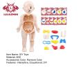 Lululemon Diy Human Organ Model Interactive Human Body Model Kit Educational Diy Toy with 11 Analysis Cards Ideal for Students Accessories Included Primary Secondary School Science Kit. 