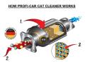 CATALYTIC CONVERTER CLEANER PROFI‑CAR / PROFICAR CAT CLEANER - MADE IN GERMANY. 