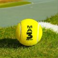 High Quality Tennise Gas Balls Cricket (MA3).. 