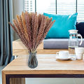 30Pcs Dried Grass Eco-friendly Beautiful Dried Flower  Dried Pampas Grass for Home. 