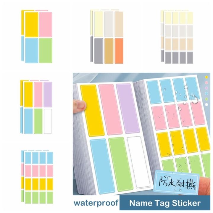 Taxonomy Stickers Multicolor Subject Classification Name Tag Sticker Decoration Sticker ...
