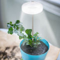 Full-bright Mixed Light for Plant Growth Adjustable Telescopic Grow Light with Timer for Indoor Plants Full Spectrum Desk Lamp with Height Adjustment Dimmable Levels Led Plant Light. 
