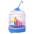 Mini Electronic Bird cage for kids-realistic sound Induction -swing my wings-sparrow cage-works on battery. 
