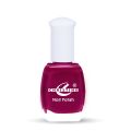 Christine Nail Polish 10 Ml Shade 1101. 