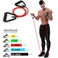 Fitness Exercise Cords Pull Rope Stretch Resistance Bands Elastic Yoga Training. 