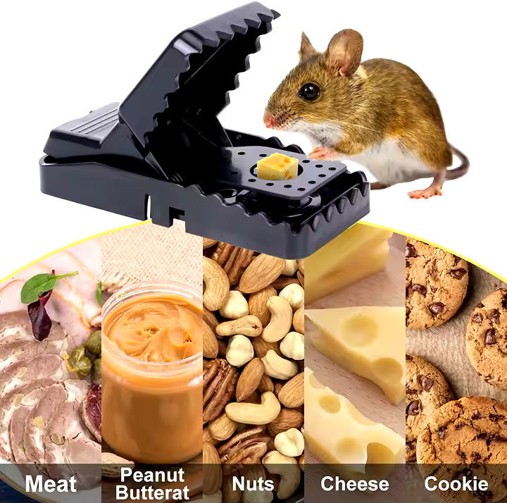 Original Plastic Mouse Trap - Easy Use Rat Killer | Competitive Price