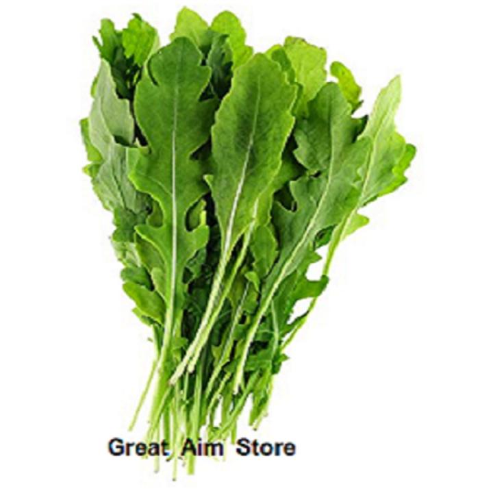 Arugula or Rocket Salad Seeds Herb Seeds Qty +100