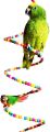 Colourful Rotate Ladder Toy for Bird Parrot Budgie Parakeet Cockatiel Conure Lovebird Finch Canary Cockatoo African Grey Amazon Cage Perch Stand. 