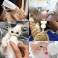 Kitten Feeder - Puppy Feeder - Cat Feeder - Kitten Feeding Bottle - Kitten Feeder Bottle. 