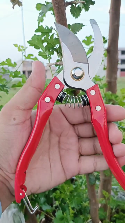 Metal Design Plant Cutter/Pruning Shear | Daraz.pk