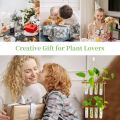 Glass Hanging Planter Terrarium – Hydroponic Test Tube Vase with Wooden Hanger & Rope for Green Plants, Flowers, Home & Office Décor By Padini Collection. 