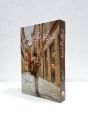 Jo Bachay Hain Sang Samait Lo Urdu Novel By Farhat Ishtiaq. 