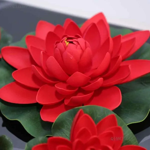 Lotus%20Red%20Flower%20Seed,%20Water%20lilly%20Red,%2010%20Seed%20pack%20-%20Image%203