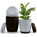 Fast Forward Extra Large Plant Pots: Two Vibrant Colors, Drainage, Ideal for Indoor Planters - Explore Multi-Packs for Plastic Planters, Cactus, and Succulents Decor. 