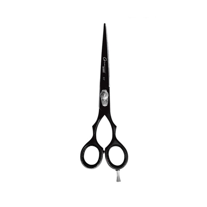 Professional Hair-Dressing Scissors And Hair Thinning Scissor Shears Set - Black - Stainless Steel J44C 5.5"/ 6" 7/7.5 Inch (7 Inches, 2 Pieces