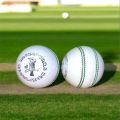 Cricket Hardball Red and White (Kookaburra). Quality Cricket Ball. 