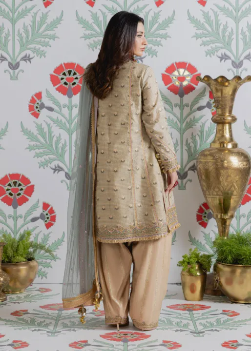 Bonanza%20Satrangi%203%20PIECE%20Unstitched%20Yarn%20Dyed%20Suit%20(WU25FE3023)%20-%20Image%202