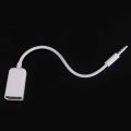 USB Female to AUX 3.5mm Male Jack Plug Audio Converter Adapter Data Cable. 