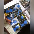 Blue Yellow Aesthetic Anime Angel Stickers for Journal Scrapbook Phone Cover. 