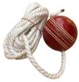 Practice Hanging Ball for Bat Knocking and Practice with Reaction String  - Training hanging Ball for Tape tennis and hard ball practice and bat stroke Best Cricket Hanging Hard Ball for Bat Stroke. 
