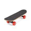 Zayraz Skateboards for Adults Youths Teens Kids Girls Boys Beginners 23 inch Length by Zayraz Skate Boards 7 Layers Deck Maple Wood Longboards - Black. 