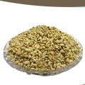 Banola Beej Sabut - Cotton Seeds - 250 Grams. 