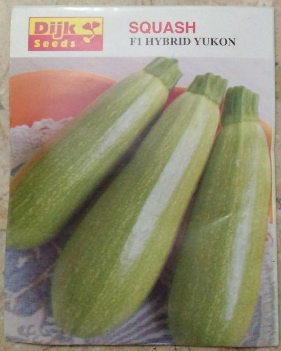 Squash F-1 Hybrid Yukon